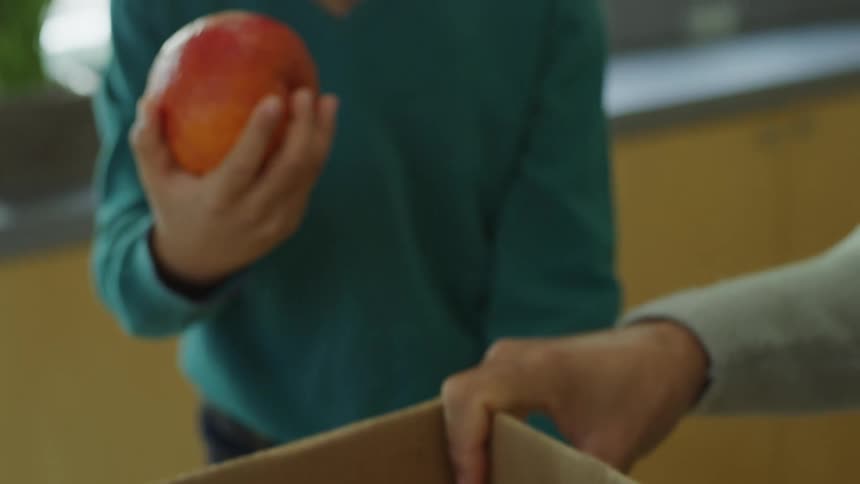 Father and son unpacking fruits and vegetables from a cardboard box in the kitchen at home