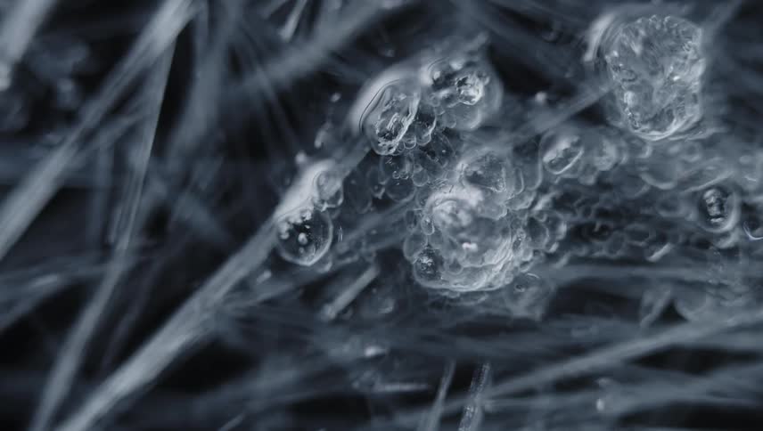 An organic substance is clinging to white lines of a mysterious fiber in the darkness