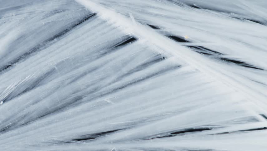 Close up of thing ice crystals forming in front of a black background