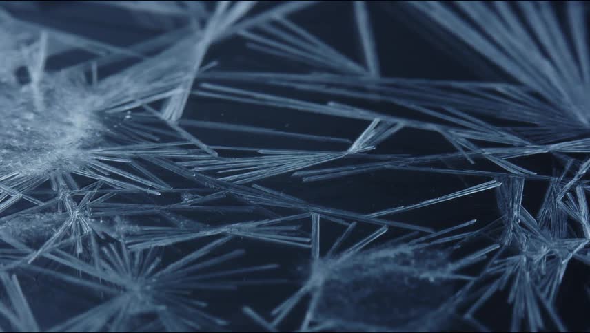 An organic substance is clinging to white lines as they grow and move across the darkness