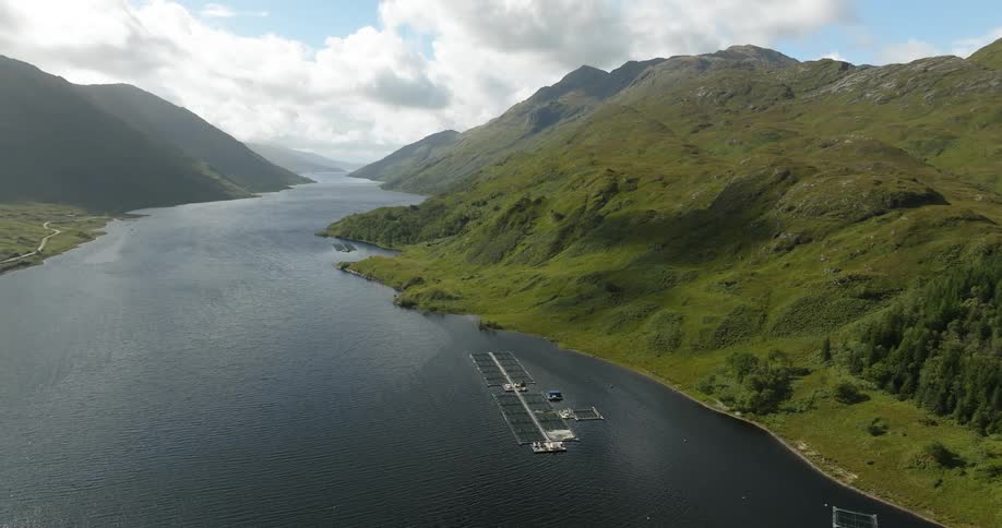 Scottish fishing farm drone shot, on a sunny day