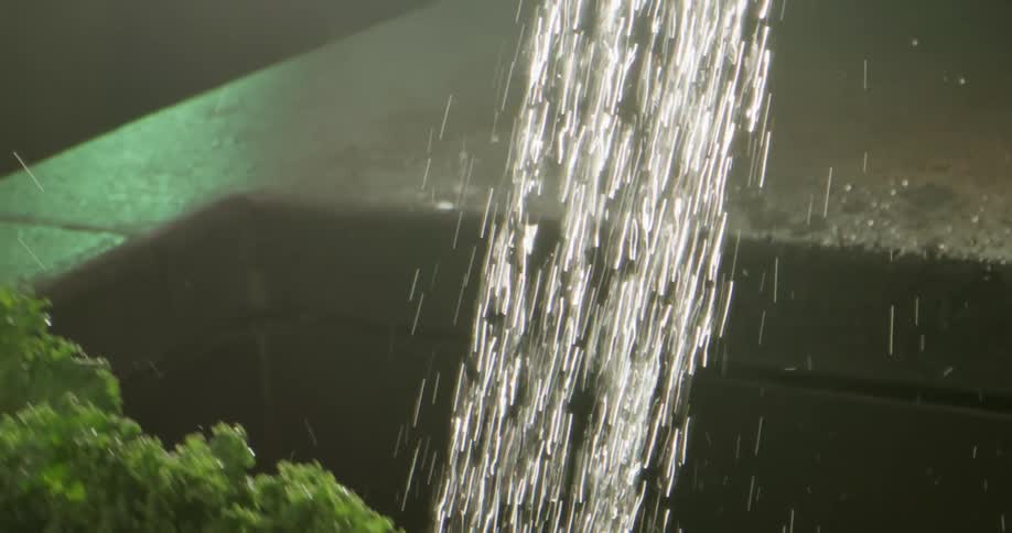 Green leafy vegetable is rinsed in sink under flowing water