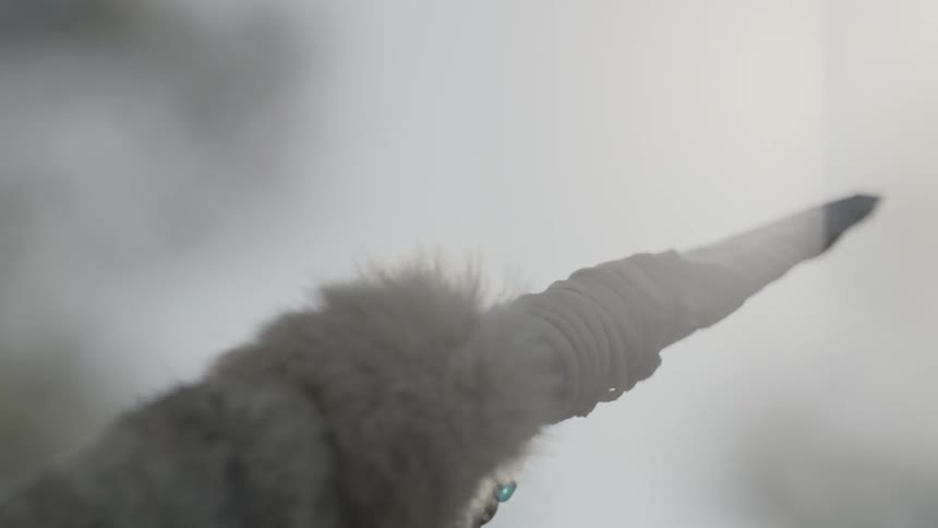 Spearhead  pointed towards a shining sun