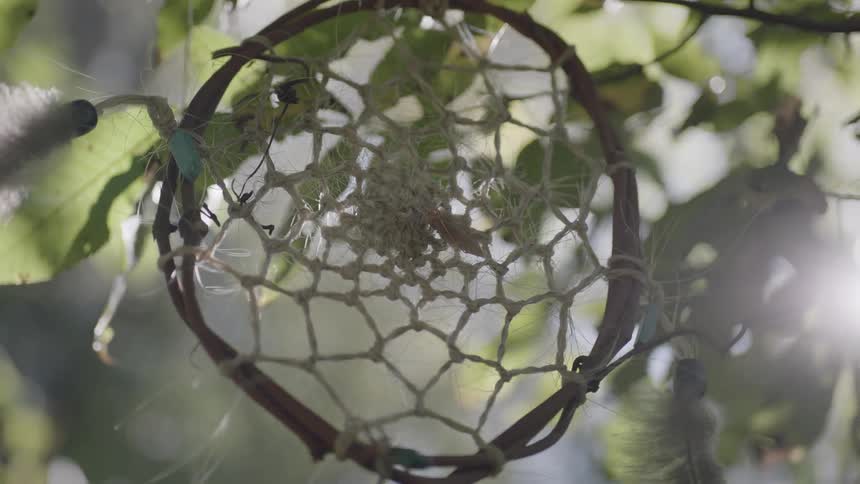 A dream-catcher is hanging among tree leaves