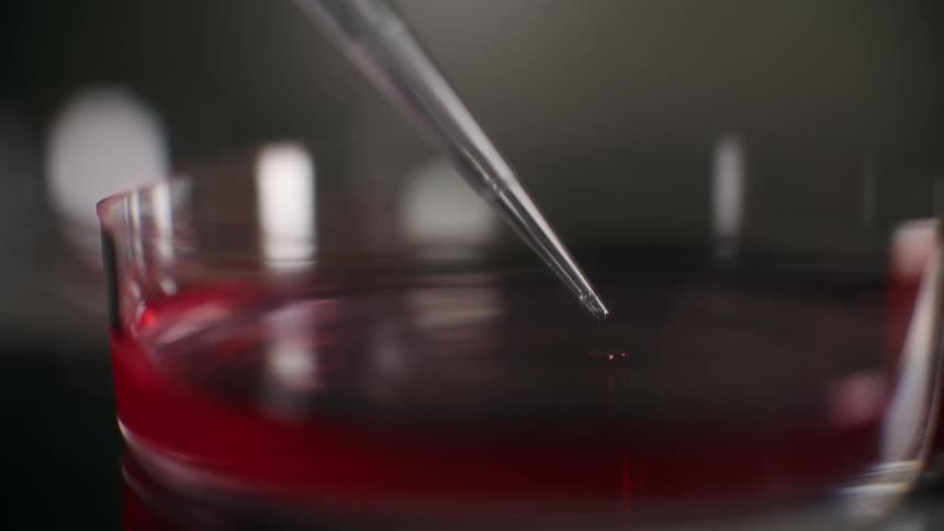 An eye dropper removing liquid in a lab