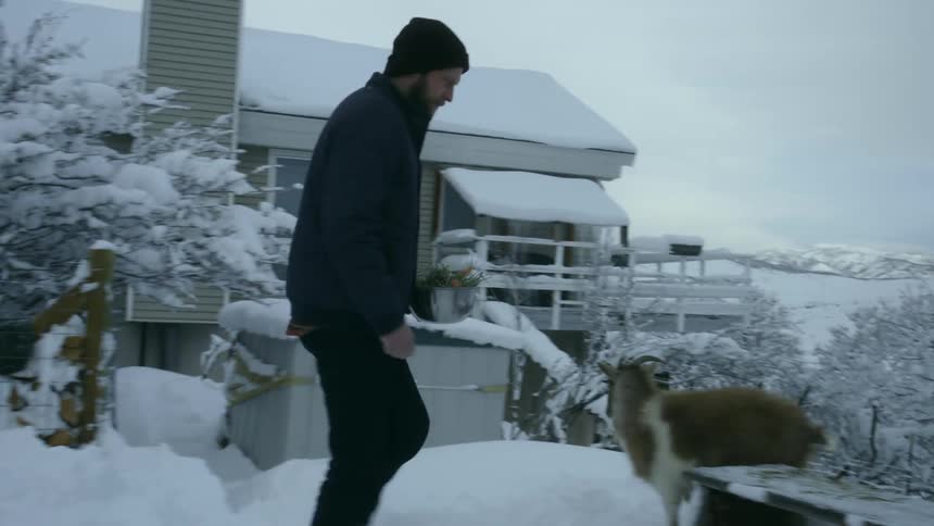 A man feeding goats outdoors
