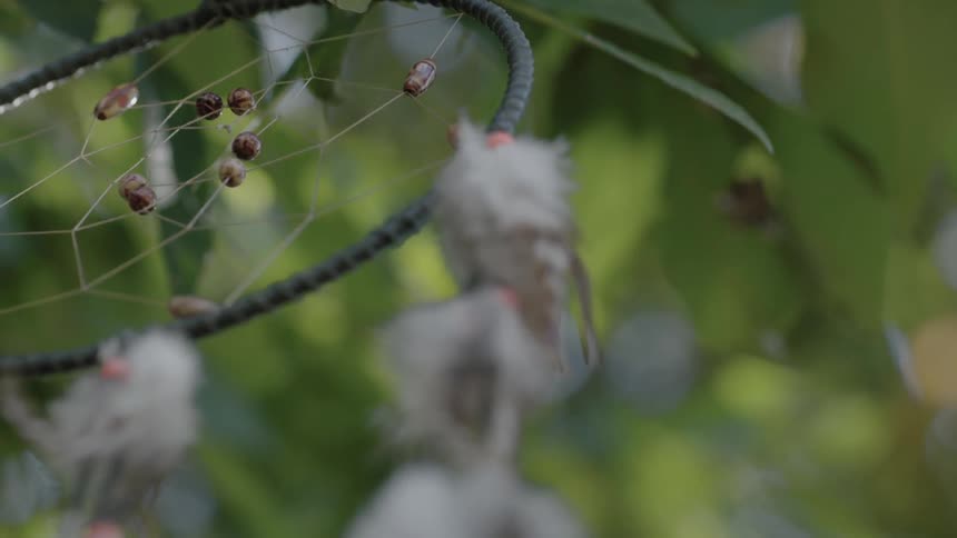 A dreamcatcher hands in a tree on a windy day