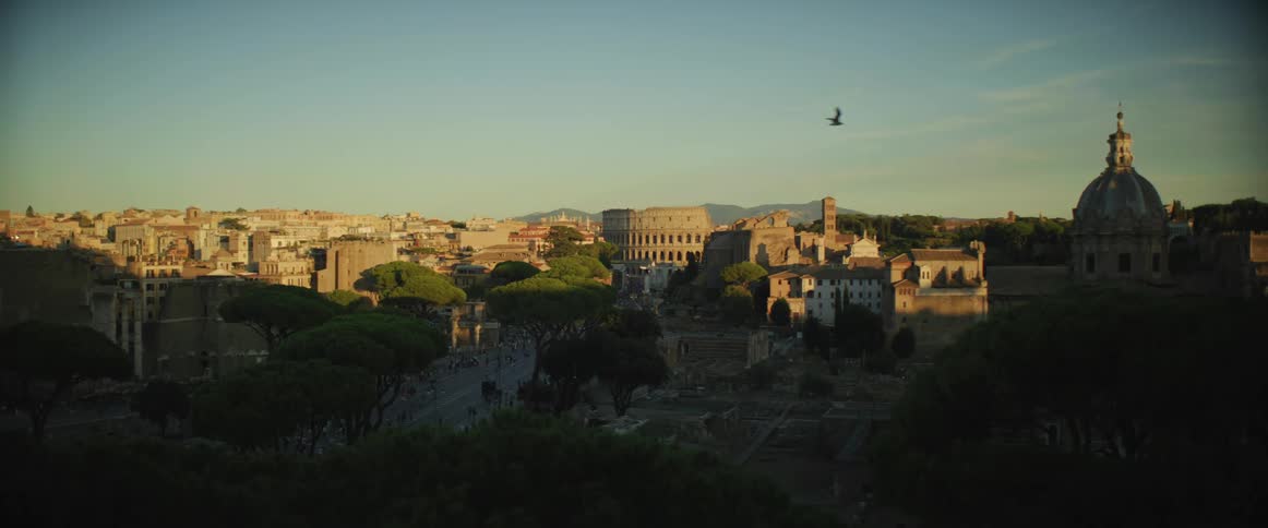 A bird flies over an older town in the hills