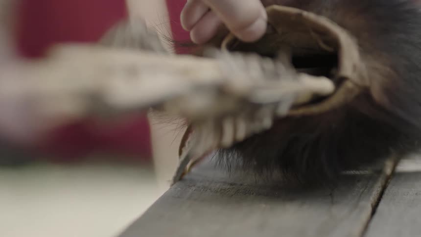 A person puts arrows into a quiver