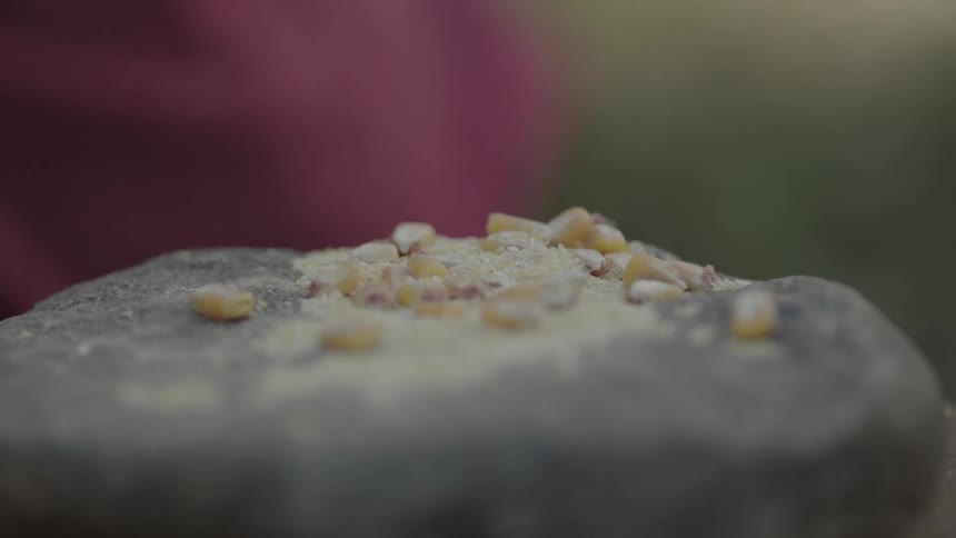 Yellow granules sitting atop a gray stone