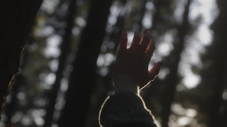A hand reaching up in the sunshine with trees all around