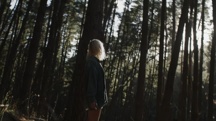 A woman is standing in the middle of the forest