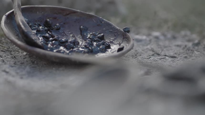 A bowl of berries sits on the ground