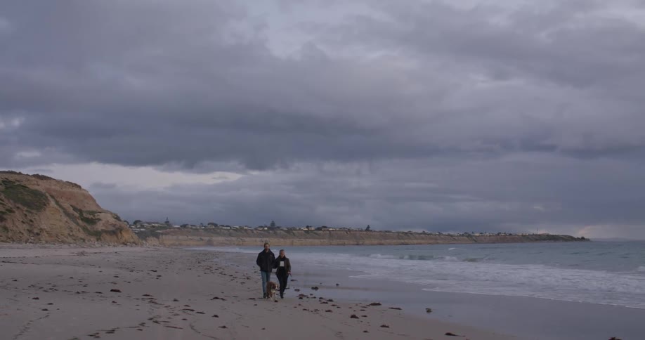 A couple walk with their dog on the beach