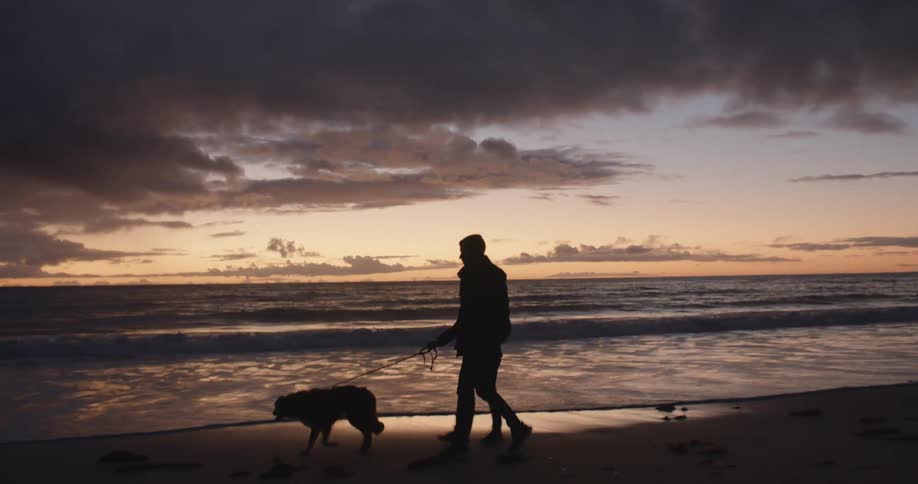 Silhouette of a couple walking a dog on the sand beach next to the ocean at sunset