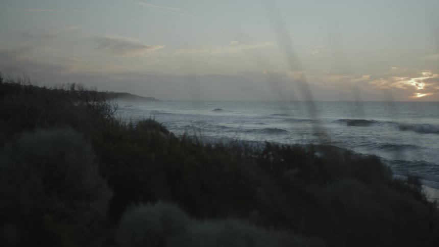 Grass and vegetation growing along a shoreline at sunrise