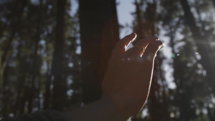 A teenage girl is standing in the woods holding up her hand as the sun shines brightly through the trees