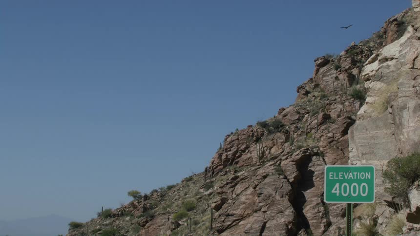 The bird flies over the mountain