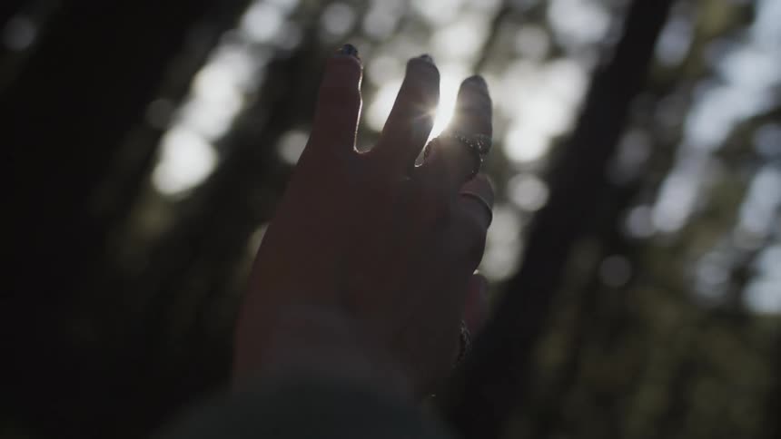 Sun shines through the fingers of a woman rising her hand on the forest at morning