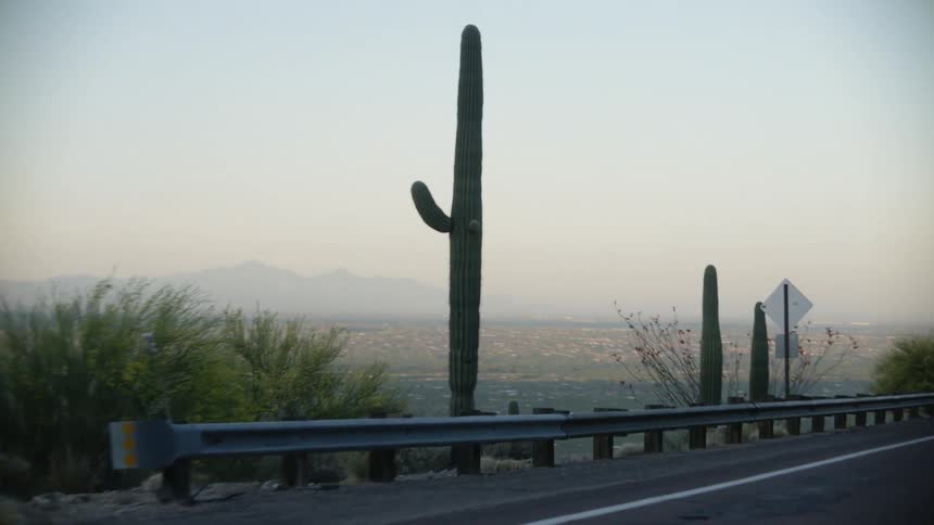 Cacti border highway passing through scrub and overlooking town