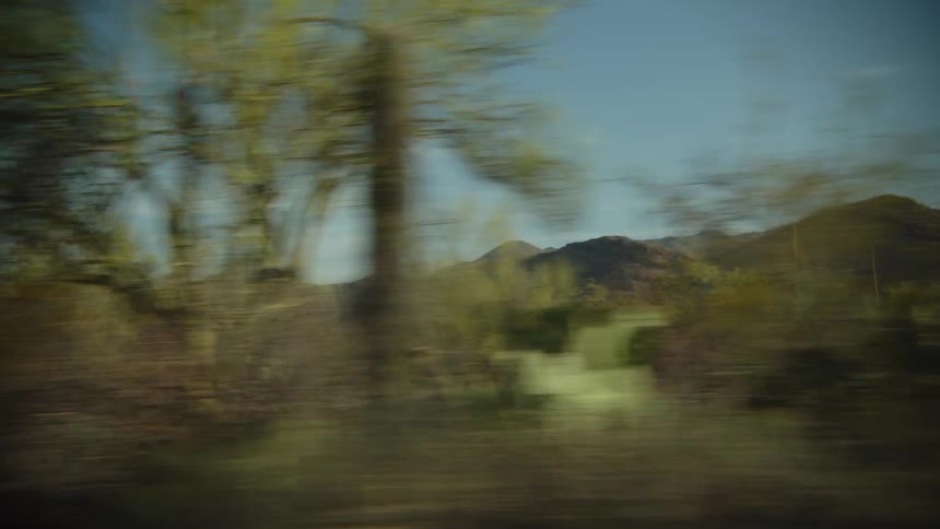 Vegetation in the desert next to a mountain seen from a moving vehicle