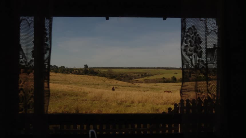 A person walks in a field with a horse in it