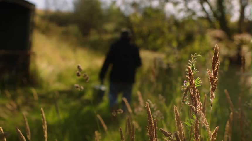 A man carrying tools and a bucket walks through a field
