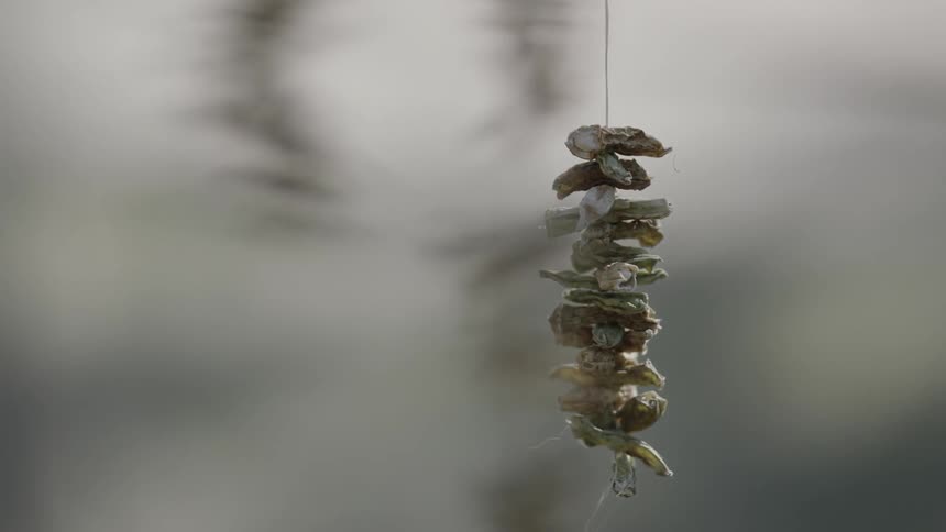 Bones hanging from strings sway in the breeze against a blurry background