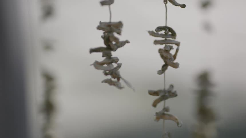 Bones hanging from strings sway in the breeze