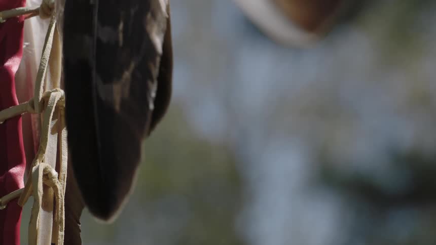 Feathers attached to a costume out of camera view are blowing in the breeze