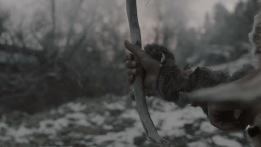 A man holding up a branch in a wintry landscape