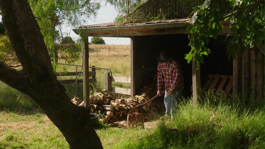 An old farmer picks a log up from the wood pile and splits it with an ax