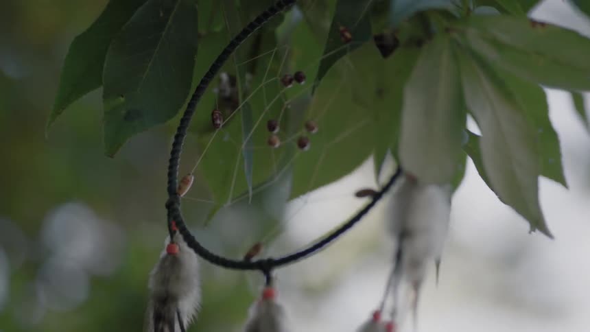 A dream-catcher is hanging among tree leaves and swaying in the wind