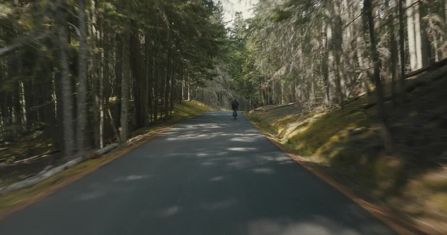 A man rides his bicycle down a trail through the woods