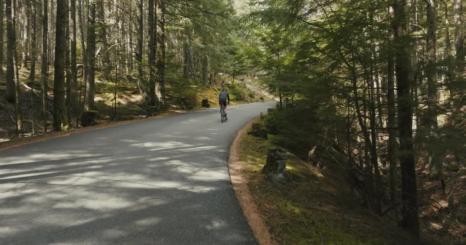 A man riding a bike on a curving road through forest trees