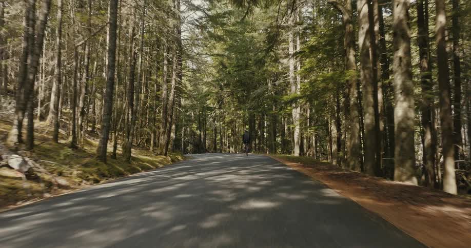 A person riding a bike in a forest