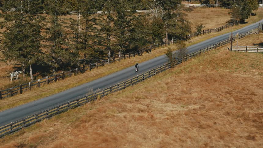 A cyclist rides their bike on a country road with trees at the roadside as a horse grazes in agolden field of dry grass