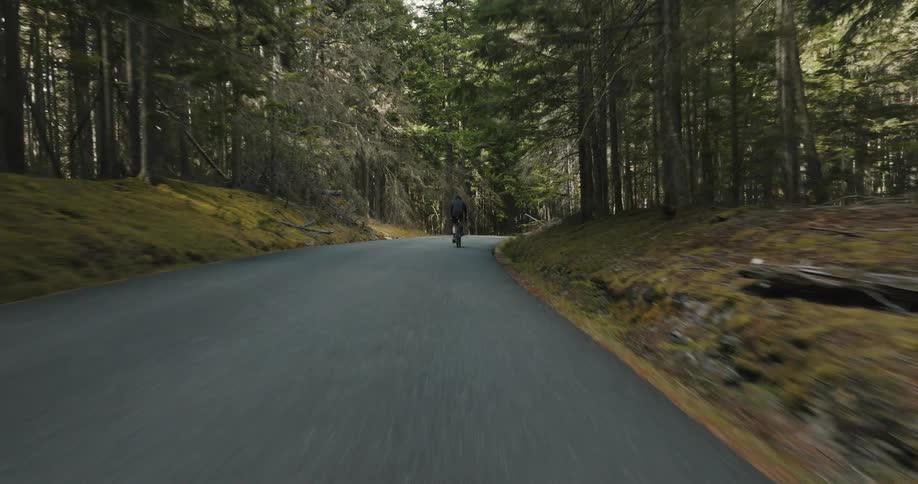 A man rides his bicycle down a park trail through the forest