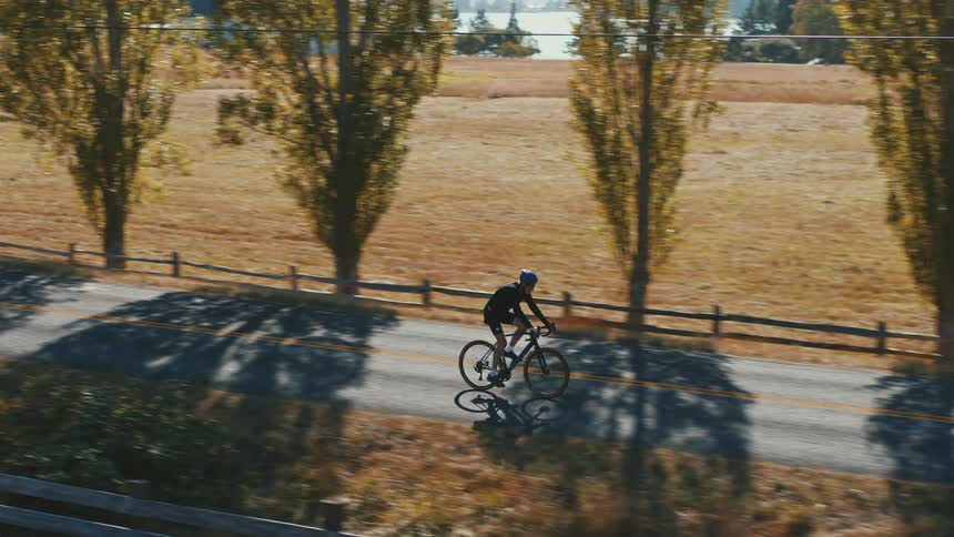 A cyclist rides their bike on a country road with trees at the roadside as the sun shines on golden fields of dry grass