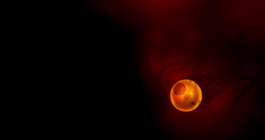 Close up of a cell moving in plasma