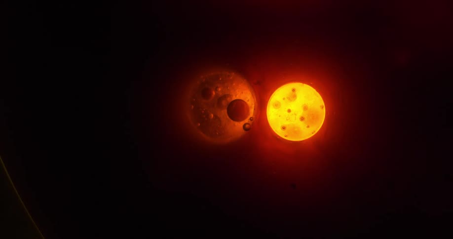 Cells moving in plasma