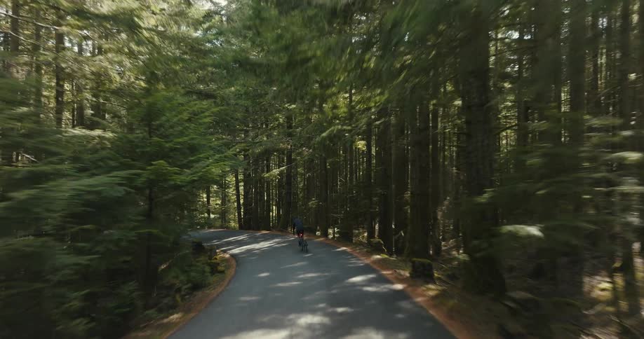 A man rides his bicycle down a trail through the woods
