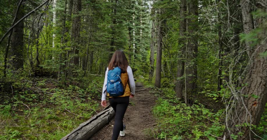 A woman is hiking in the forest