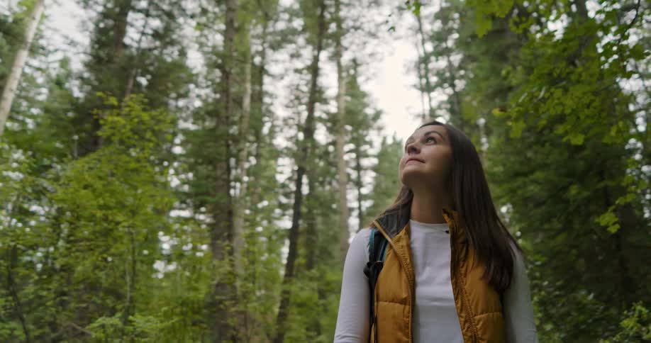 Woman with straight brown hair white shirt and yellow vest looks up in the green woods
