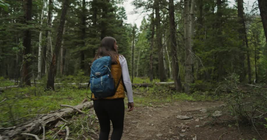 A woman walking in a forest