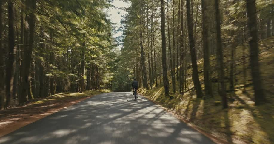 Aerial view of male cyclist ride bicycle on road in dense forest