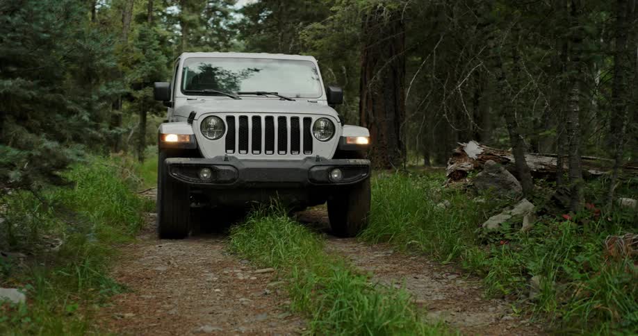 The jeep drives through the forest
