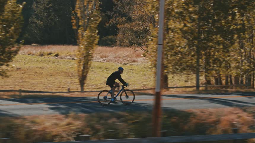 A cyclist rides their bike on a country road with trees at the roadside as the sun shines on golden fields of dry grass