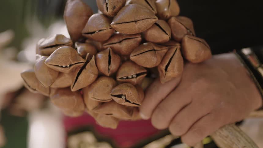 A person is carrying a bundle of something in his hands
