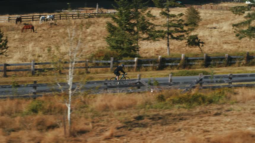 Male cyclist rides bicycle on country road near the fields with horses grazing